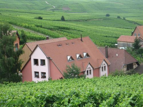 Hunawihr Apartment | Studio chez le vigneron