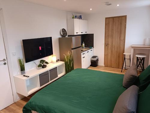 Roubaix Apartment | Studio confortable style