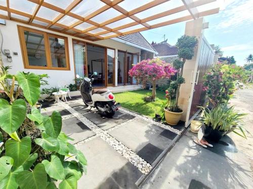 Kaliasem House | Studio guesthouse 38 in Lovina