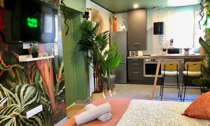 Brive-la-Gaillarde Apartment | Studio Jungle Air-conditioned - Rated 3 stars