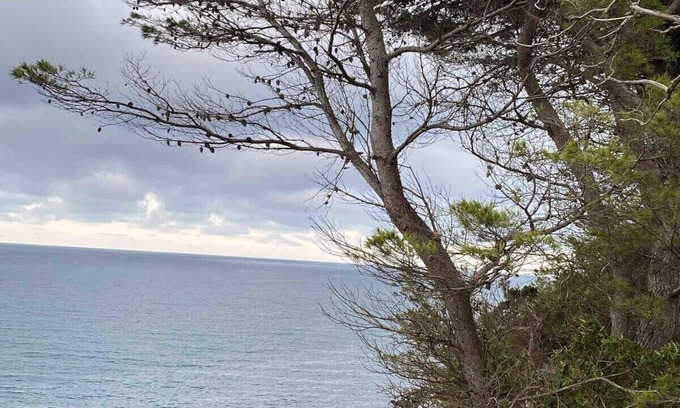 La Franqui Apartment | Studio LA FRANQUI Le petit paradis de vacances - Climatisé