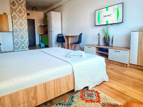 Piatra Neamt Apartment | Studio Miruna
