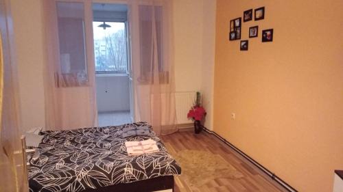 Sector 4 Apartment | Studio