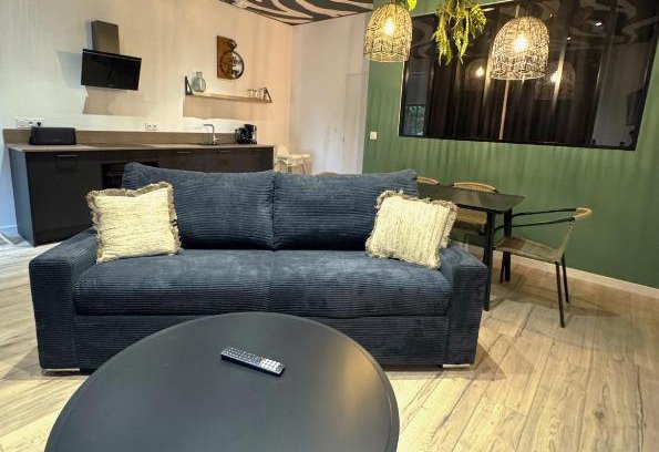 Seigy Apartment | Studio Savane, 6 min du Zoo