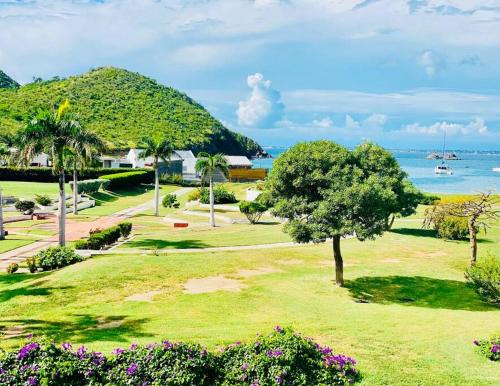 Anse Marcel Apartment | Studio tropical, beautifully renovated, sea view