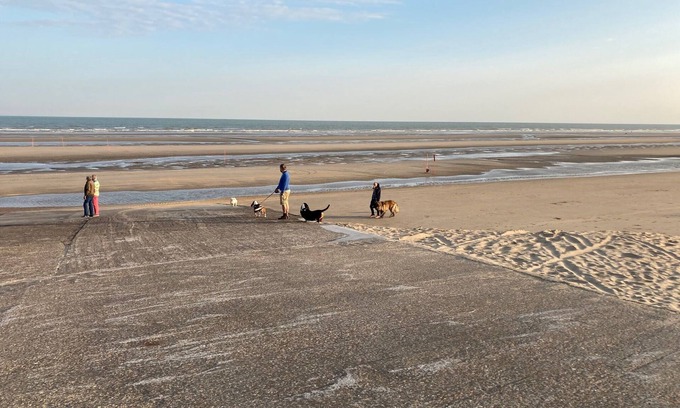 De Panne Apartment | Studio vue sur mer Avec Piscine Interieure