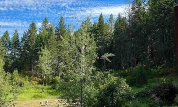 Grand Forks Cabin | Stunning Custom Made Log Home- on 30 acres