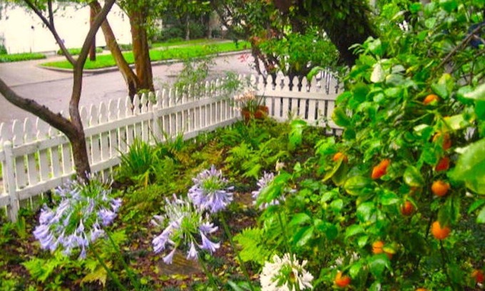Audubon House | Stunning Uptown Home in Premier Location