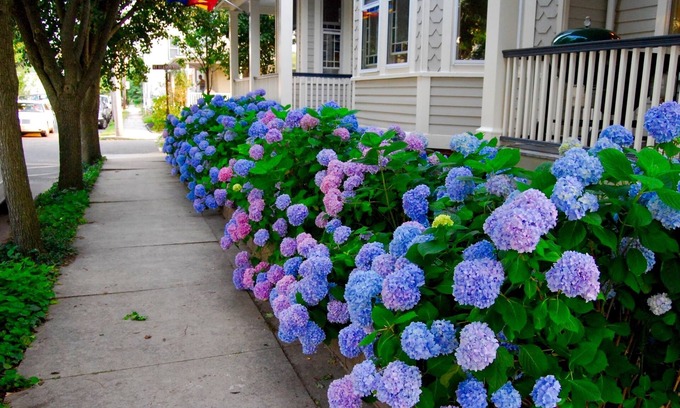 Ocean Grove House | Stunning! Vacation Rentals Ocean Grove & Vacation Rentals Asbury Park