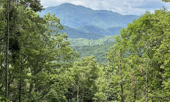 Almond Cabin | Stunning Views, Superb Atmosphere, Modern Amenities, In the Middle of Nature