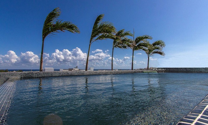 Luis Donaldo Colosio Apartment | Stylish studio on the 5th Ave in Playa del Carmen, welcome!