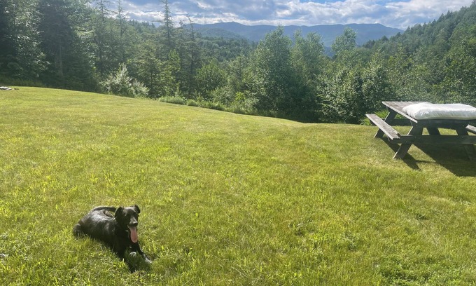 Warren Apartment | Sugarbush Solace: 1-bedroom hideaway or launchpad for adventure - your choice!