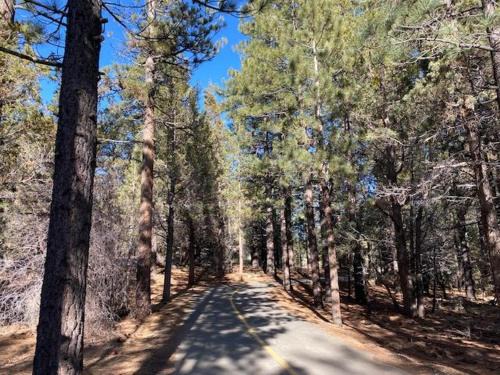 Summit Estates House | Summit Condo - Luxury condo, walk to the slopes!
