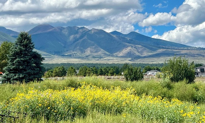 Flagstaff Cottage | 🌻Sunflower Cottage🌻Breathtaking Mountain Views & Fresh Air Retreat!