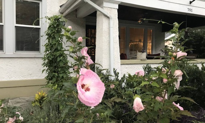Murfreesboro Apartment | Sunny Blue Bungalow near Nashville in Historic Downtown Murfreesboro