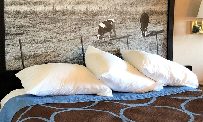 Dodgeville Hotel | Super 8 by Wyndham Dodgeville