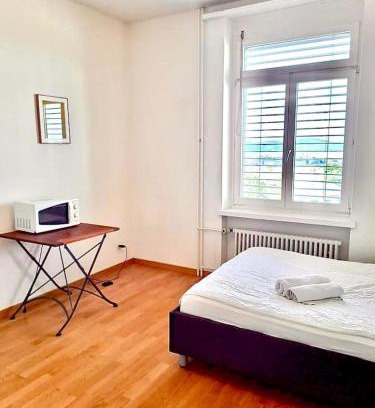 Oberstrass Apartment | Superior Apartment with City View University110
