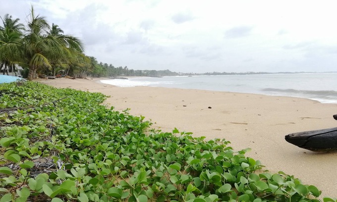 Tangalle Hotel | Superior Deluxe Sea view Room by Mars Hotel Tangalle