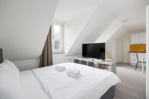 Sihlfeld Apartment | Superior Studio On Top Floor BE-51