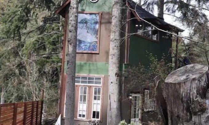 Ashford Cabin | T, s Creekside cabin. King Bed/Hot tub/treehousenn