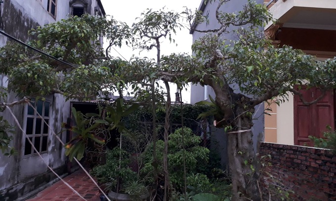 Hoa Lu House | Tamcoc White Swan Hostel