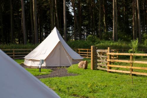 Ford Other | Tent 3