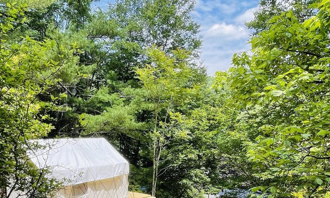 Bakersville RV Rental | Tentrr Signature Site - Bear Creek Mountain Glamping