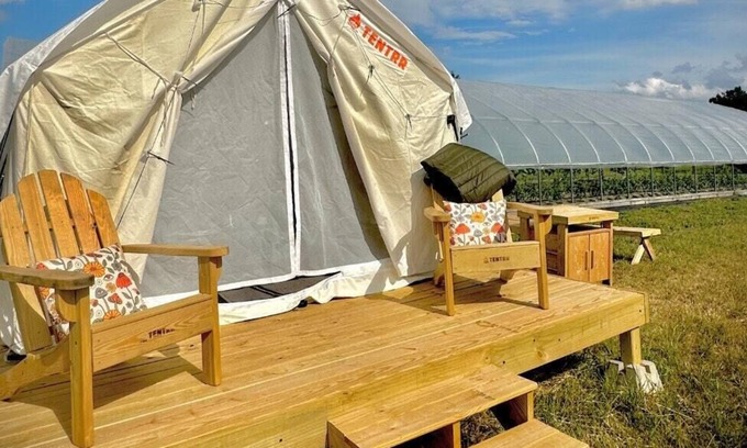 Spring Hill RV Rental | Tentrr Signature Site - Allenbrooke Farms Glamping Site 2