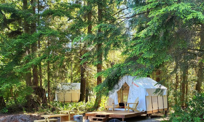 Arlington RV Rental | Tentrr Signature Site - Fern Gully Site 2