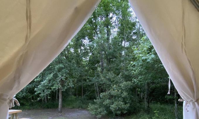 Mandeville RV Rental | Tentrr State Park Site - Louisiana Fontainebleau State Park - Woodland L - Singl