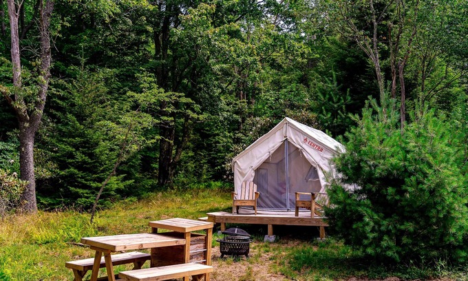 Davis RV Rental | Tentrr State Park Site - WV Blackwater Falls State Park - Site D - Single Camp "