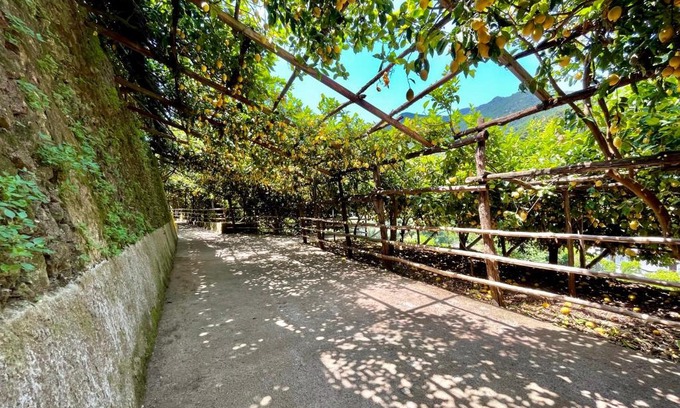 Pucara Apartment | Tenuta Donna Giovanna
