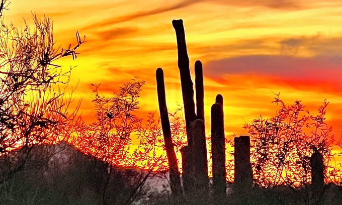 The Foothills House | Territorial style home in the serene and picturesque Catalina Foothills.