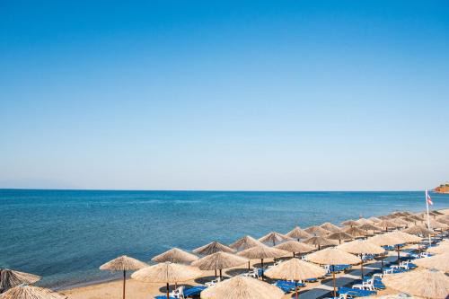 Alexandroupoli Hotel | Thalassa Apart Hotel