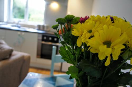 St. Columb Major Apartment | The annex, Ruthvose