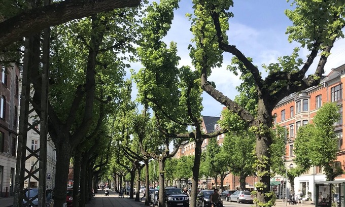 Frederiksberg C Apartment | The best location in town with a wonderful balcony