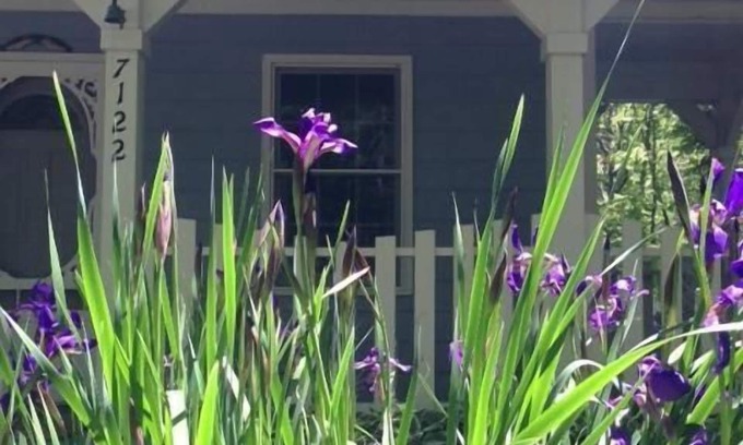 Trenton Cottage | The Blue Cottage located in the woods on Lookout Mountain in Rising Fawn GA
