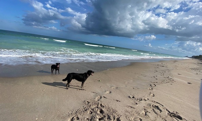Jensen Beach Hotel | The Breezy Inn