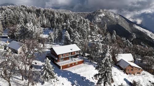 Running Springs House | THE Cabin