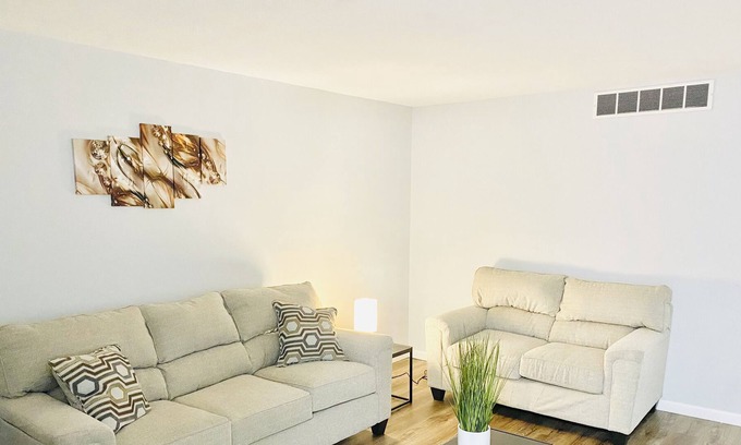 Springfield House | The Contemporary Hidden Gem