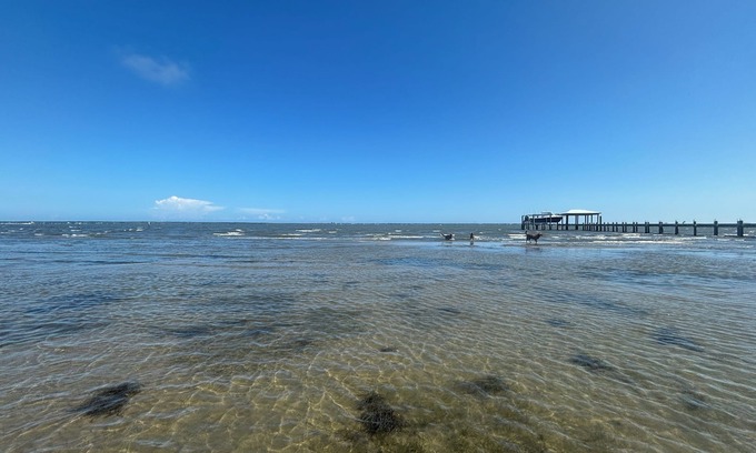 Newport House | “The Cottage" Waterfront Access to Bouge Sound!