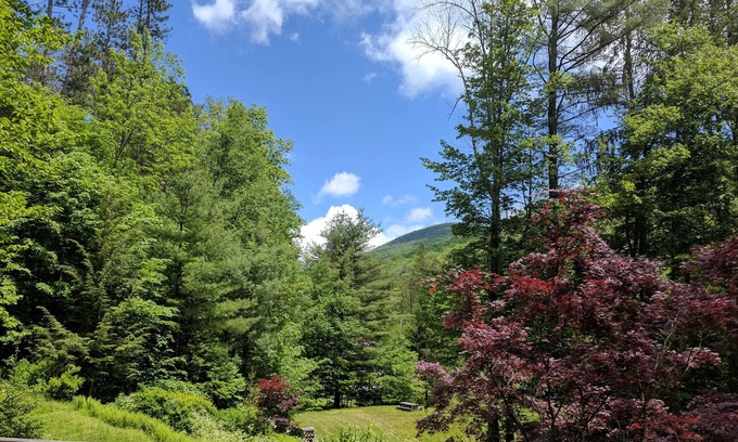 Willow House | The Cranberry House in the Catskills