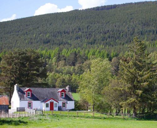 Aviemore House | The Croft Cottage - near Aviemore