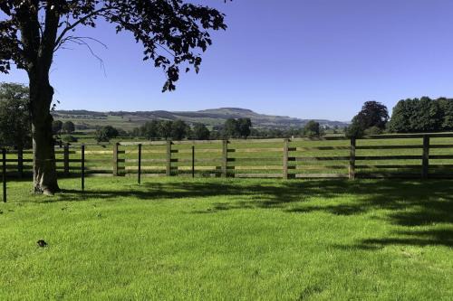 Leyburn House | The Dog Kennels