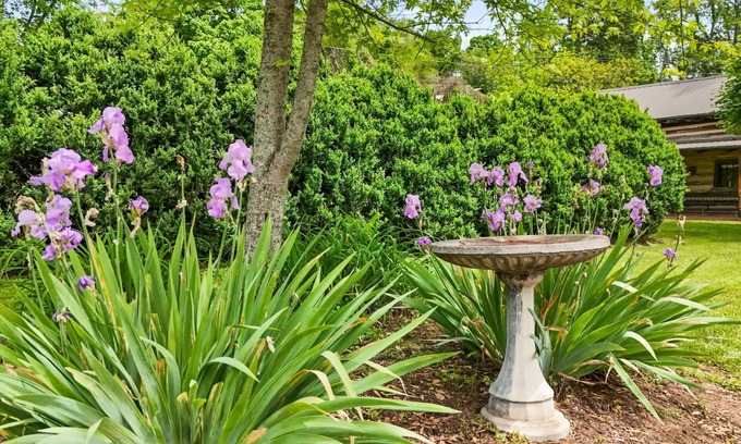 Emory Bed & Breakfast | The Emory House