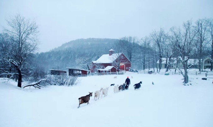 Townshend Other | the farmhouse at Big Picture Farm