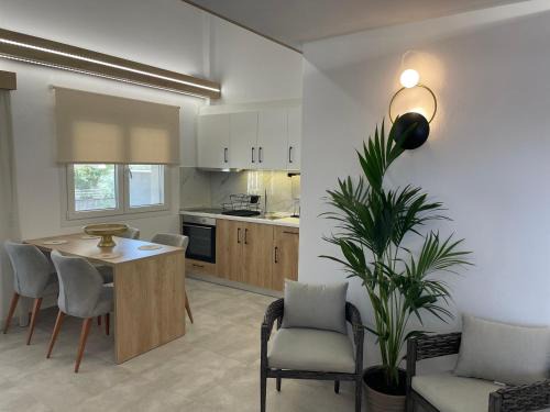 Limenaria House | The Frog Apartment