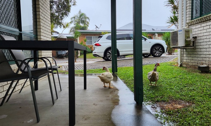North Mackay House | The Goose Pond - 2br, 1.5bth, Aircon throughout.