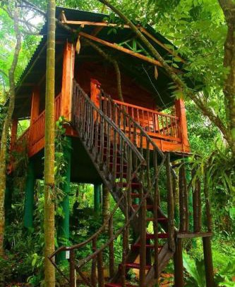 Ahangama Cabin | The Hidden Treehouse