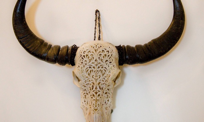 Highlands House | The Highlands Buck House, Newly Renovated Gorgeous In Town w/Private Pond